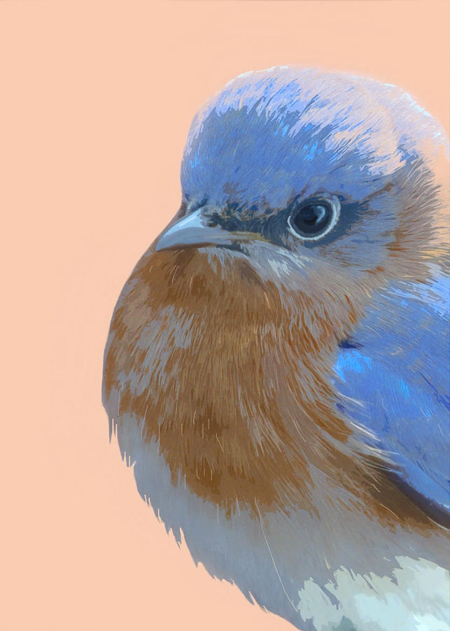 Angry Bluebird Mixed Media by Judy Link Cuddehe
