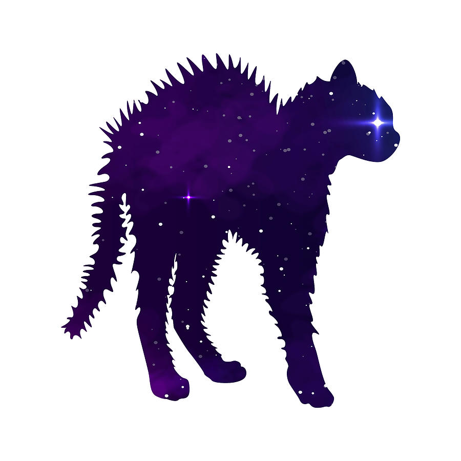 Animal Mixed Media - Angry Galaxy Cat funny graphic design by Mounir Khalfouf