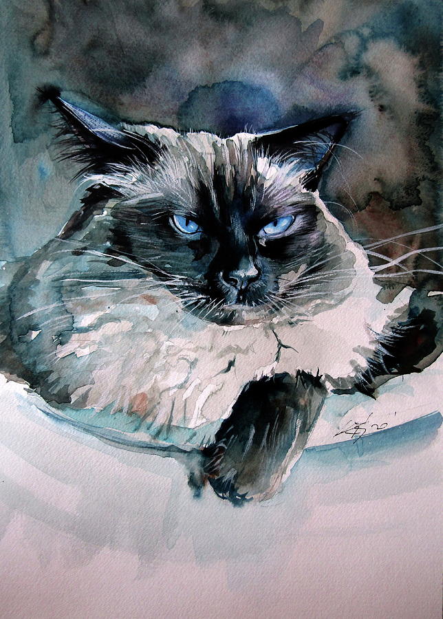 Angry himalayan cat Painting by Kovacs Anna Brigitta