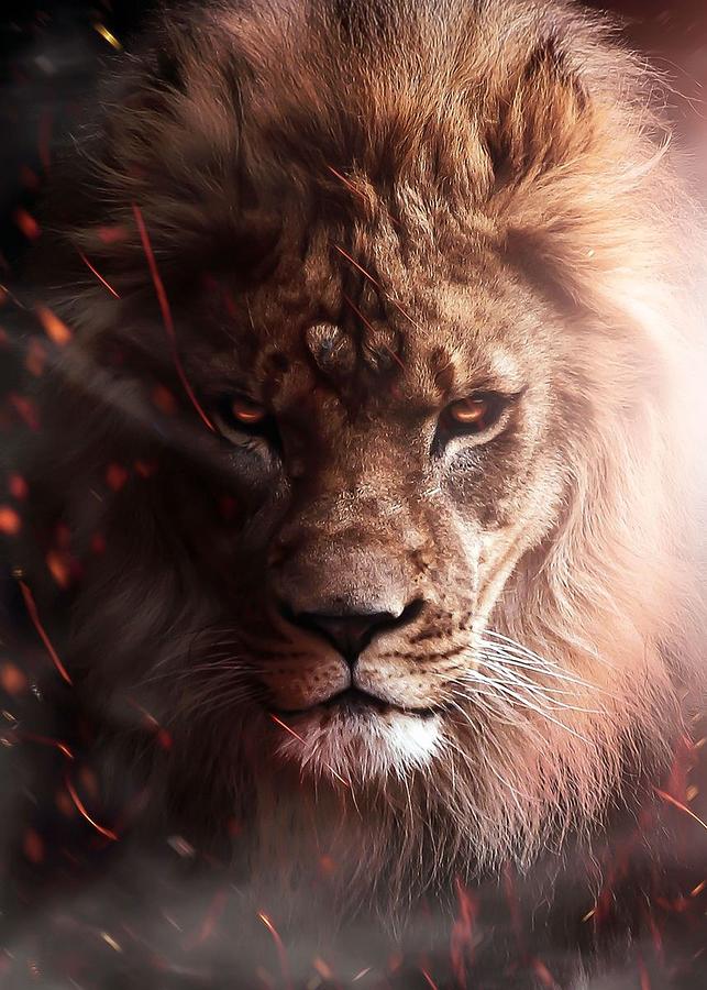 Angry Lion On Fire Poster Digital Art by Decor Studio