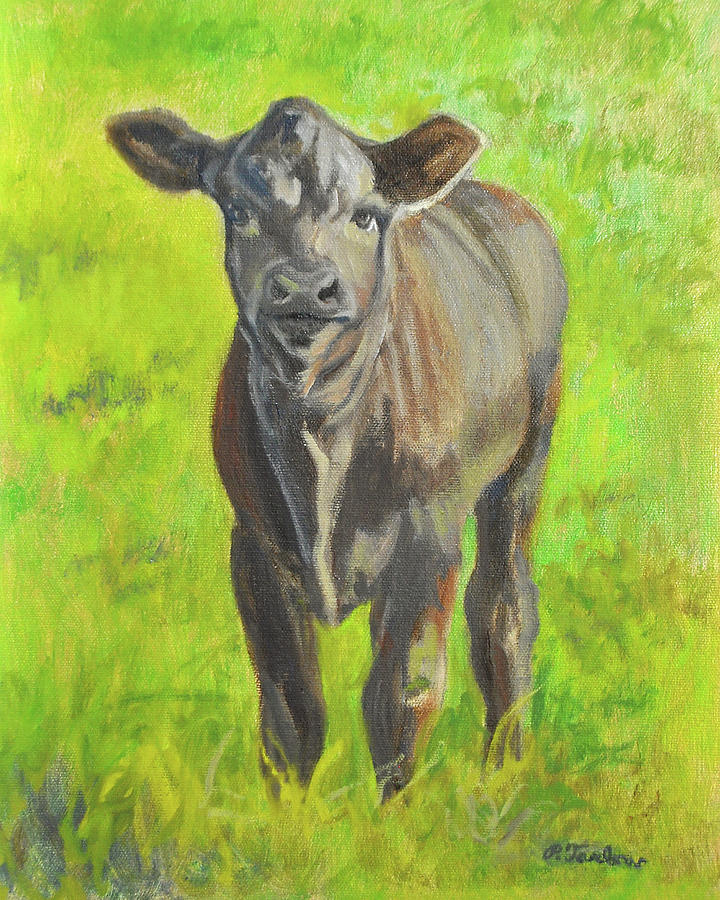 Angus Calf in Meadow Painting by Phyllis Tarlow - Fine Art America