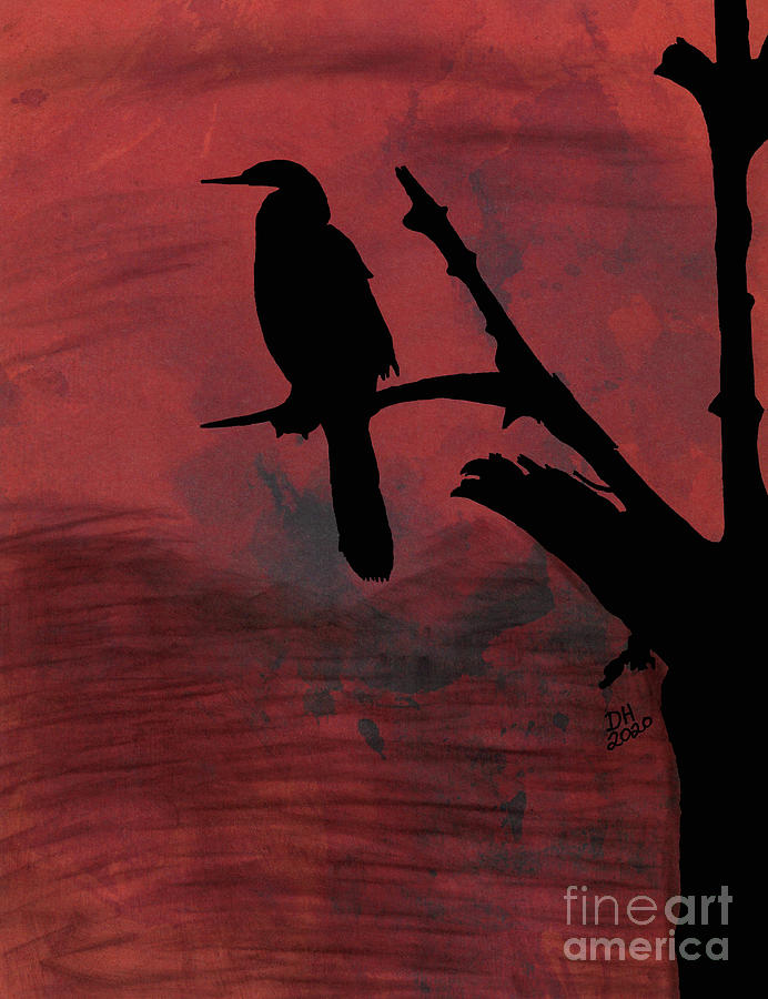 Anhinga At Sunset Drawing by D Hackett