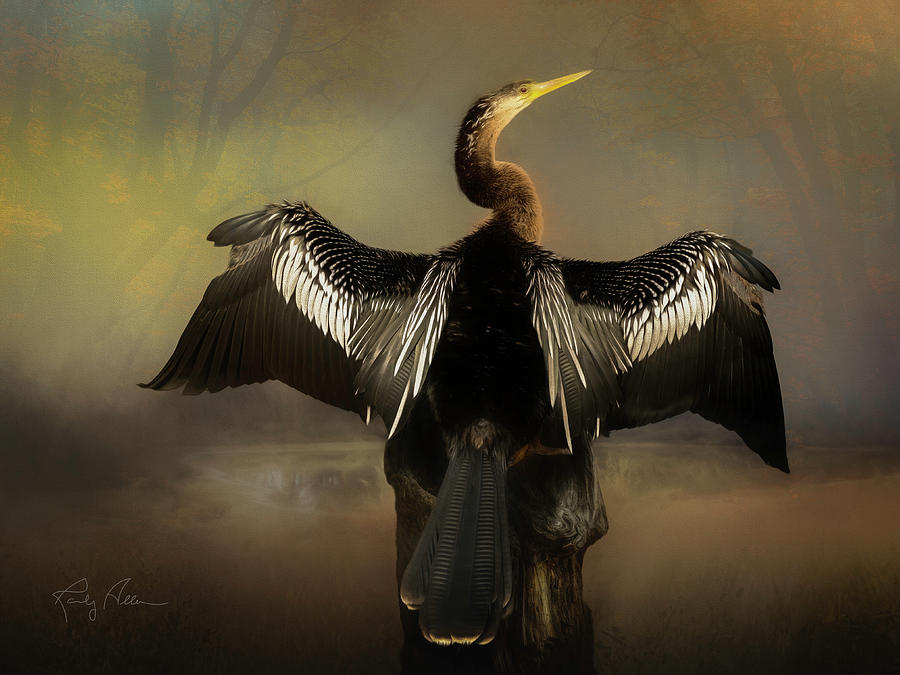 Anhinga at the Pond Photograph by Randall Allen