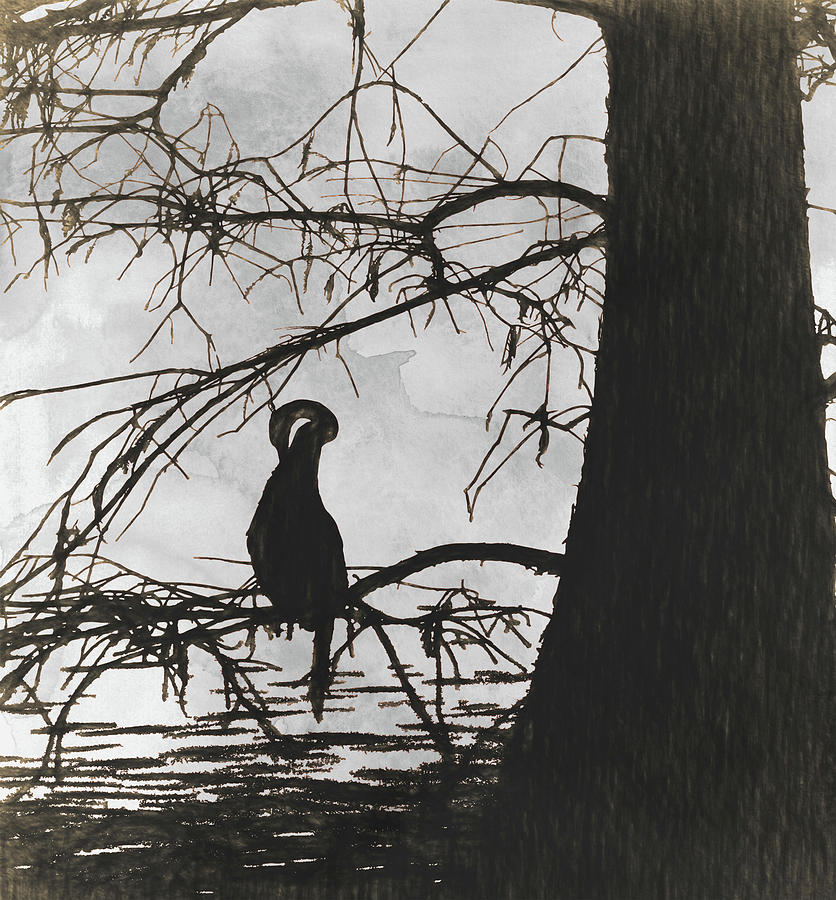 Anhinga Pen and Ink Painting by Kandy Hurley