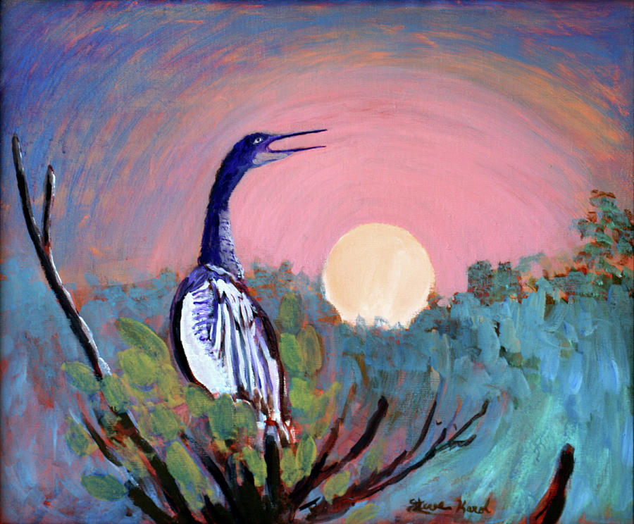Anhinga Sunrise Painting by Steve Karol