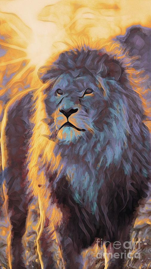 Animal Abstract Art - Male Lion Sunset Photograph by Philip Preston