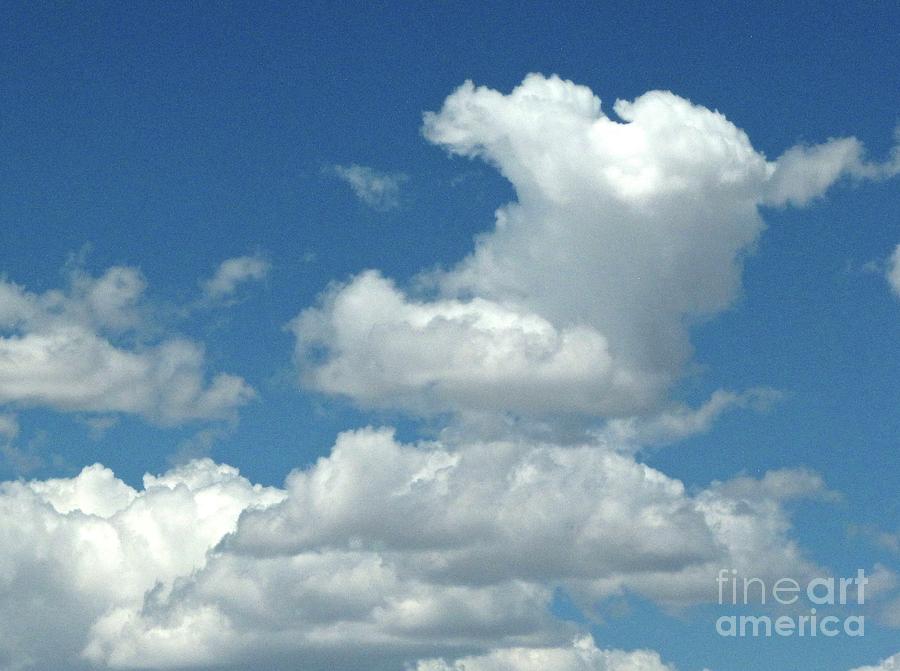 Beautiful Blue Sky Photograph - Puppy With His Head in the Clouds #1 by Phyllis Kaltenbach