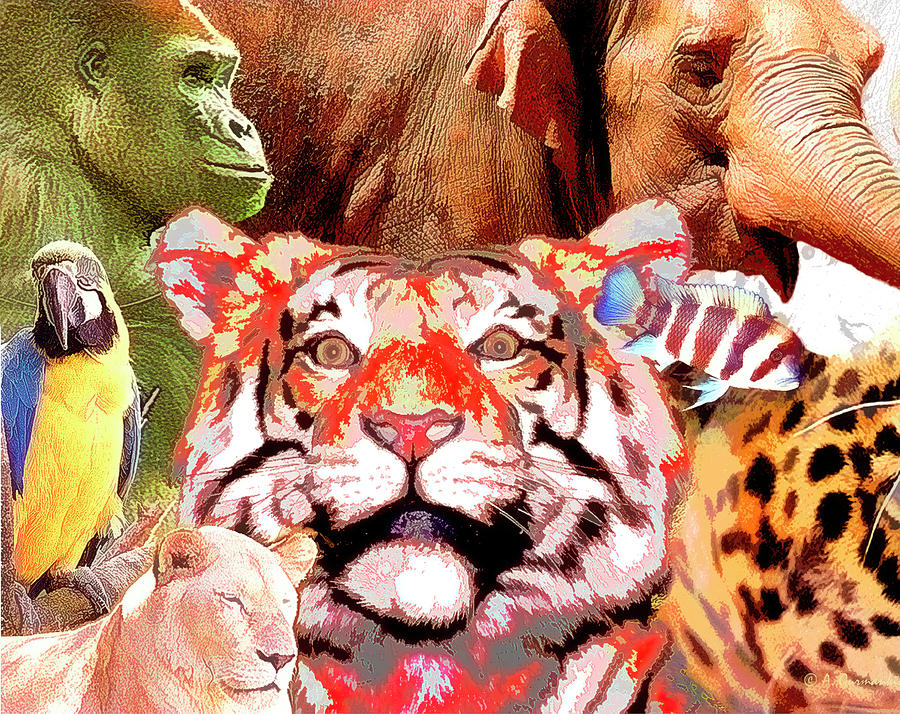 Animal Collage, Digital Art Digital Art by A Macarthur Gurmankin