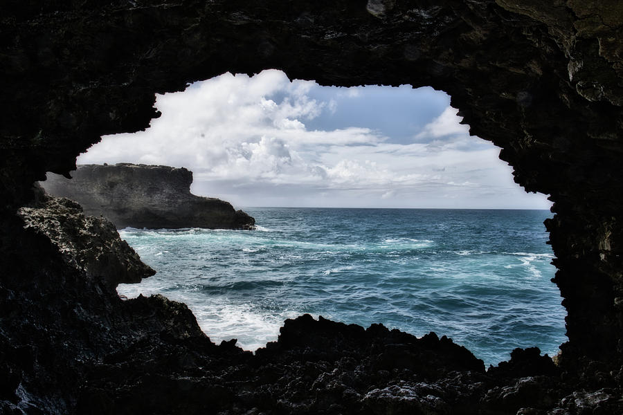 Animal Flower Cave, Barbados Photograph by Cameron Cobham