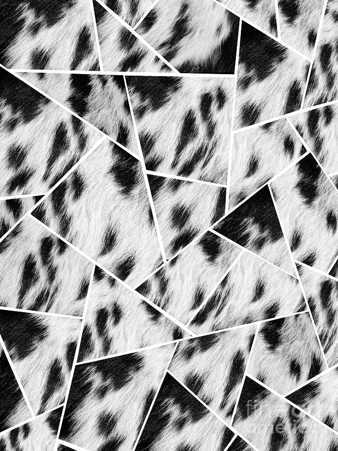 Abstract Mixed Media - Animal Fur Black and White Geometric Glam #1 #geo #decor #art by Anitas and Bellas Art
