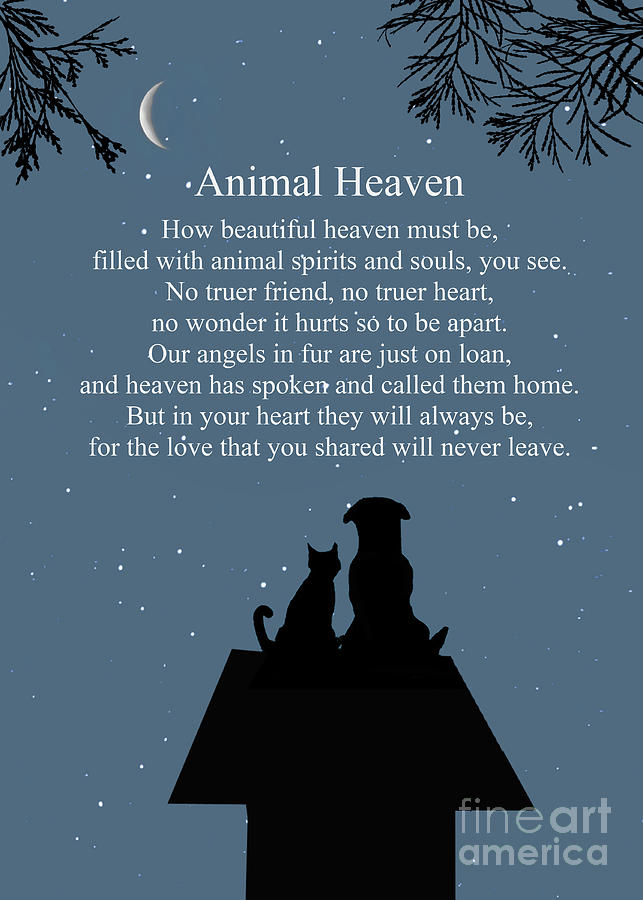 Animal Heaven Pet Sympathy Memorial Spiritual Heaven Poem Photograph by Stephanie Laird