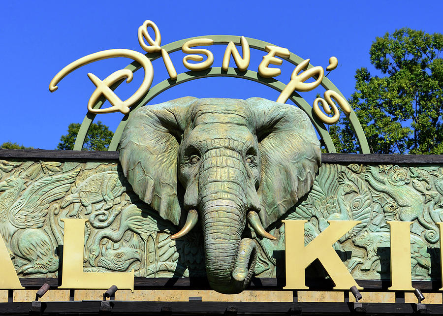 Animal Kingdom entrance Elephant. Photograph by David Lee Thompson