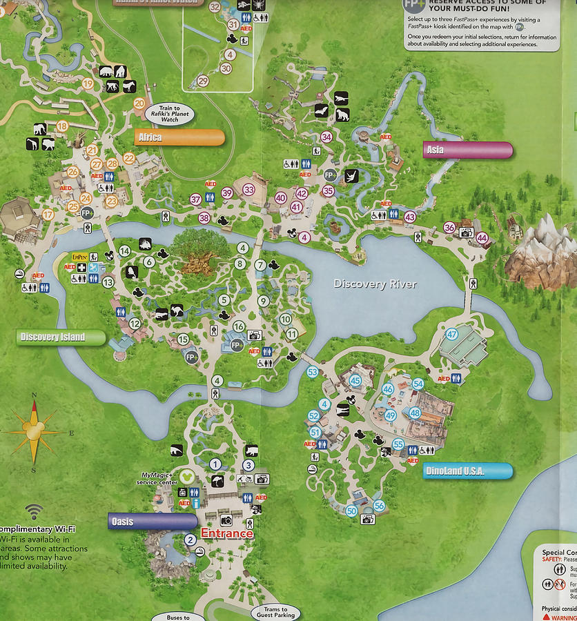 Animal Kingdom Map Poster trending Painting by Sabrina Ray - Fine Art ...