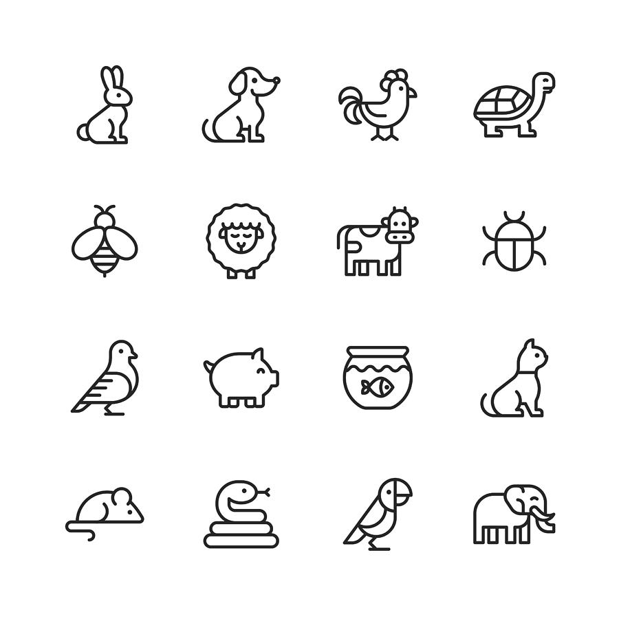 Animal Line Icons. Editable Stroke. Pixel Perfect. For Mobile and Web. Contains such icons as Rabbit, Bunny, Dog, Chicken, Turtle, Bee, Sheep, Cow, Pig, Cat, Snake, Mouse, Elephant, Parrot. Drawing by Rambo182