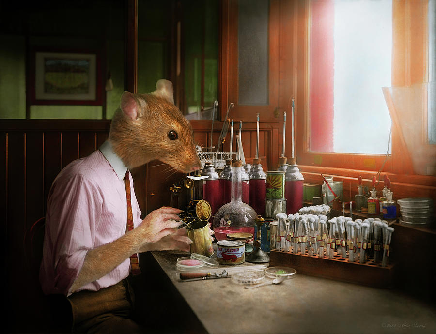 Animal - Rat - The Lab Rat Photograph by Mike Savad