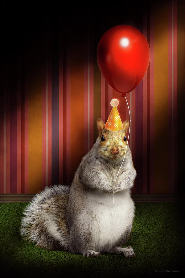 Animal - Squirrel - Party animal Photograph by Mike Savad