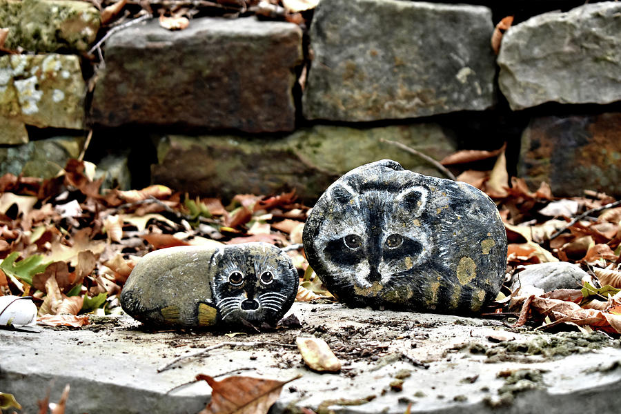 Animal Stones At The Wall Photograph by Kathy K McClellan