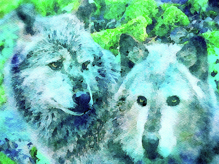 Animal-Timber Wolves Wildlife Watercolor Painting  Digital Art by Shelli Fitzpatrick