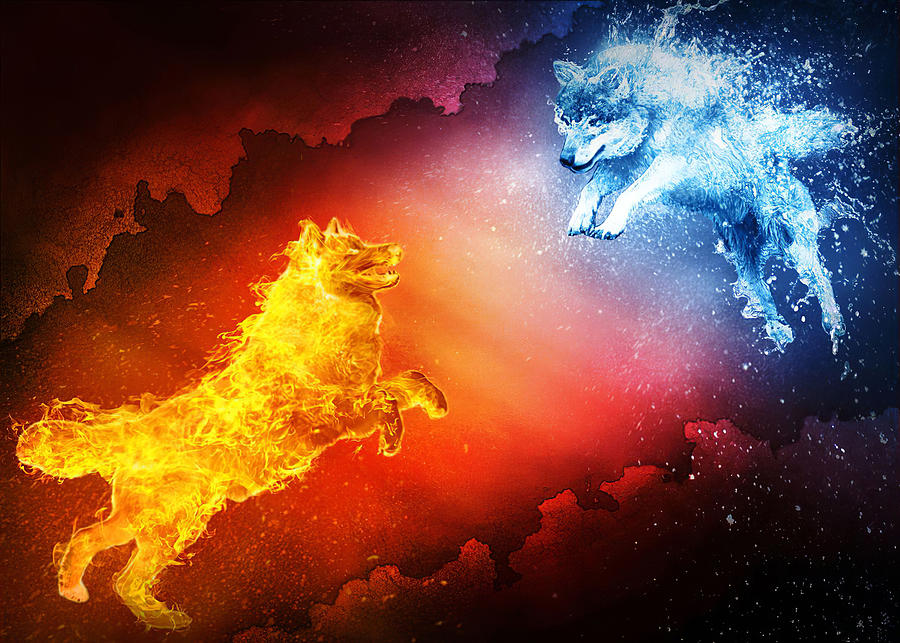 Animal Wolf Fire Vs Water Wolf Digital Art by Rowlette Nixon