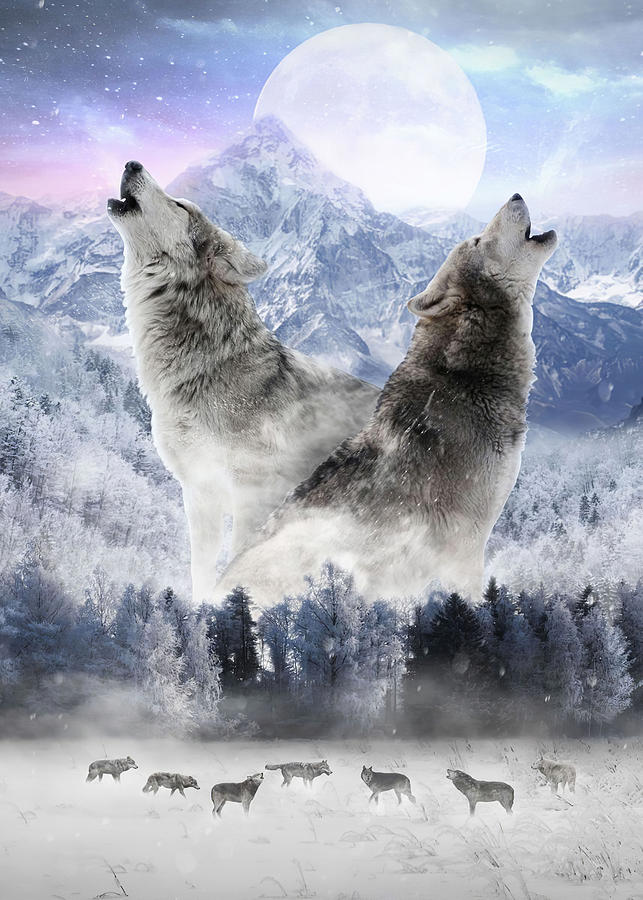 Animal Wolf The Pack Digital Art by Rowlette Nixon | Fine Art America