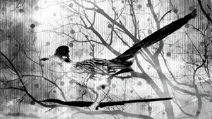 Thematic Composites Animalia Roadrunner A10j Digital Art by Otri Park ...