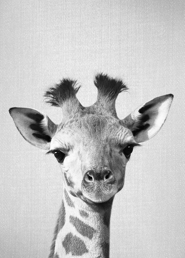 Black and white animal art