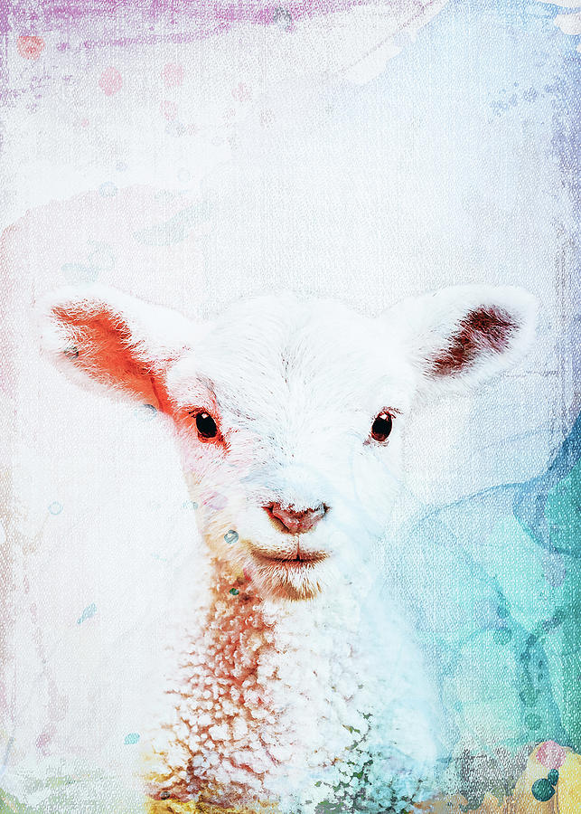 Animals Artwork Black And White Lamb BW Digital Art by Morein Mahoney