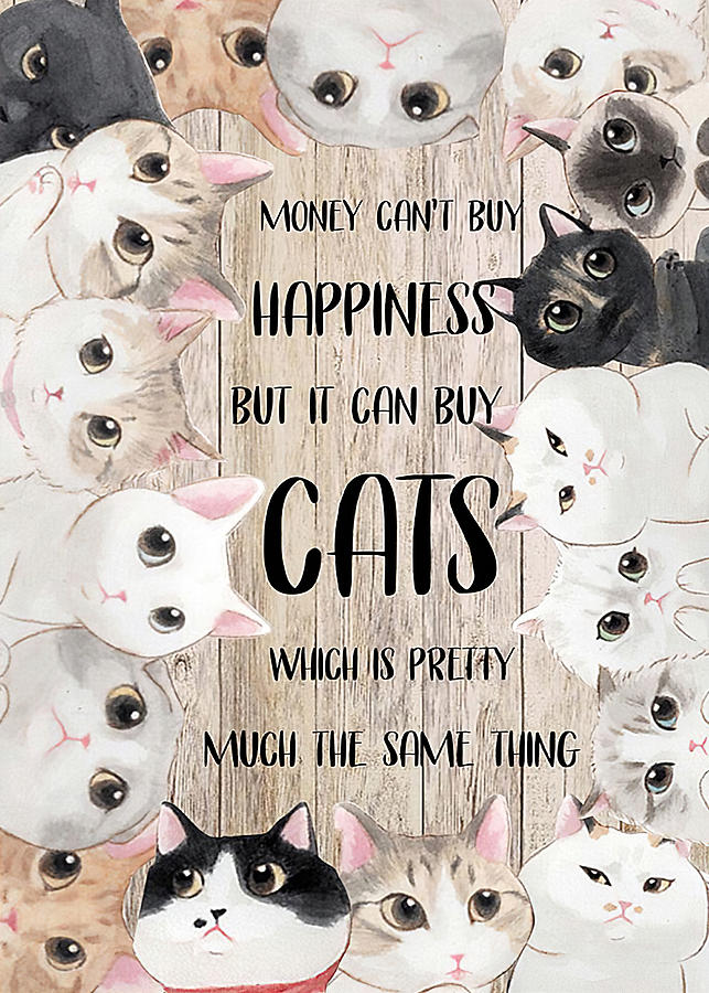 Animals Cute Kitten Cartoon Quotes Funny Beautiful Cat Cats Cat ...