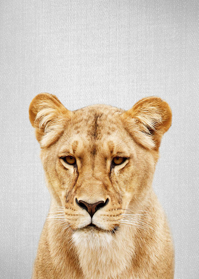 Animal Digital Art - Animals Lioness Colorful by Towery Hill
