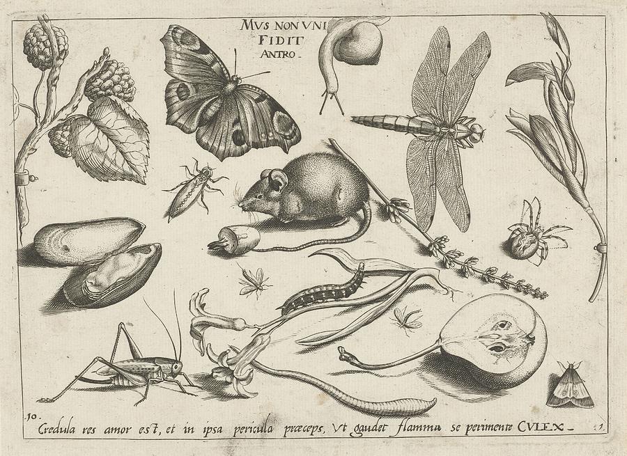 Animals, plants and fruits around a mouse, Jacob Hoefnagel, after Joris ...