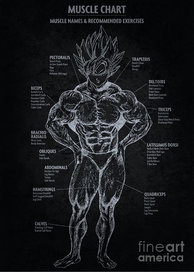 https://images.fineartamerica.com/images/artworkimages/mediumlarge/3/anime-muscle-chart-vectoria-smiko.jpg