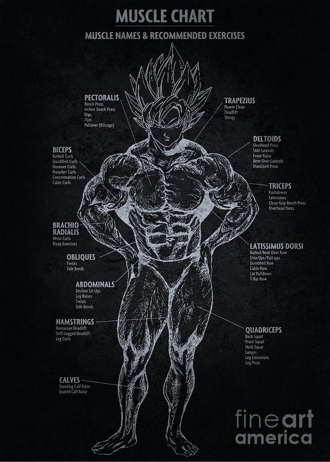 Anime Muscle Chart Digital Art by Vectoria Smiko - Pixels