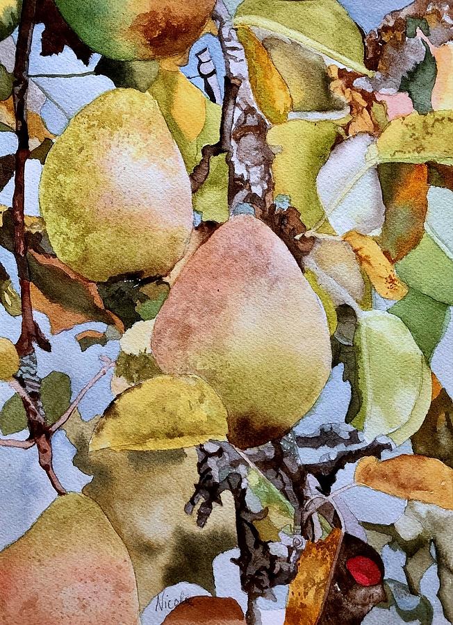 Pear Painting - Anjou by Nicole Curreri