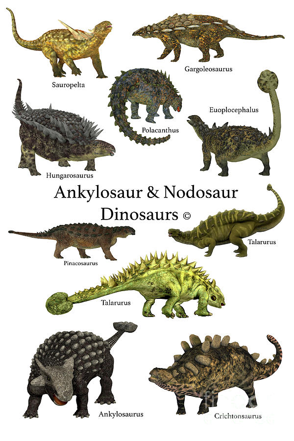 Ankylosaur And Nodosaur Dinosaurs Digital Art By Corey Ford - Fine Art 