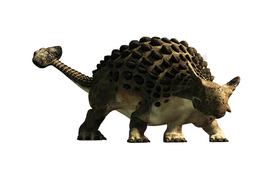 Ankylosaurus Digital Art by Daniel Eskridge