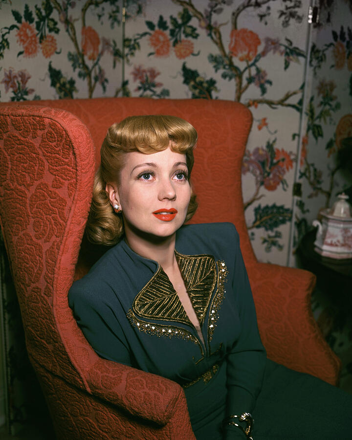 Ann Sothern Glamour Elegant Fancy Blazer Gaze 1945 Portrait Vintage Pose Photograph by Silver Screen Ann Sothern Glamour Elegant Fancy Blazer Gaze 1945 Portrait Vintage Pose Photograph by Silver Screen