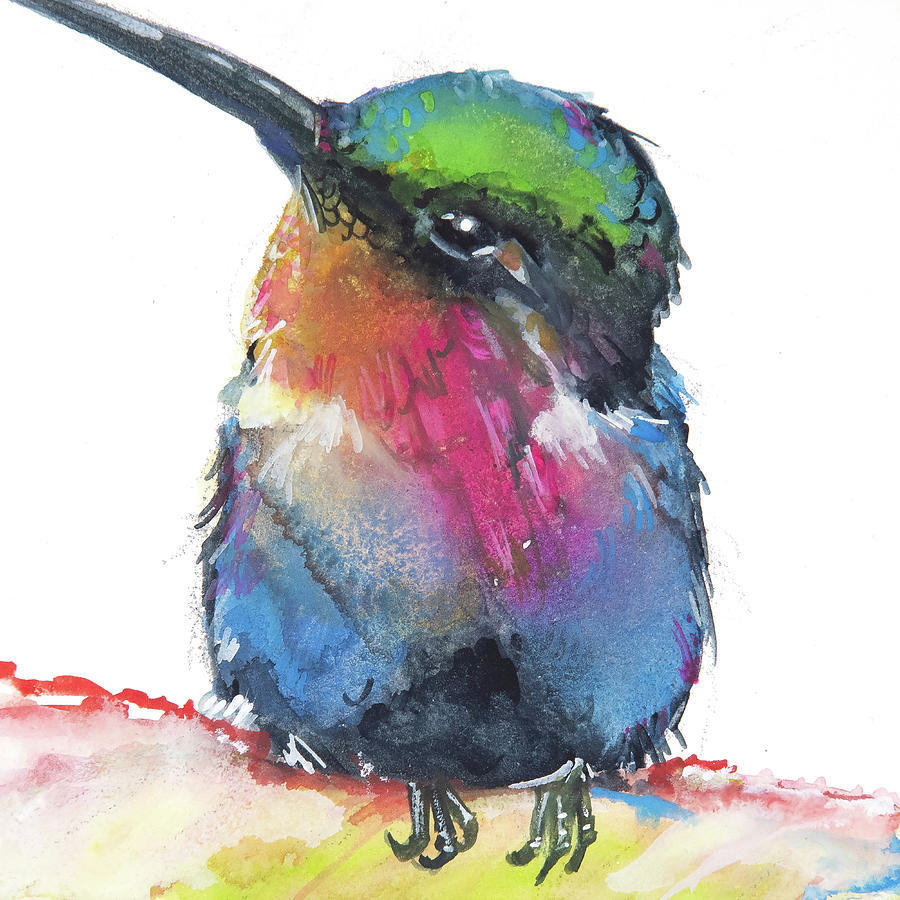 Hummingbird Painting - Anna Hummer by Jani Freimann