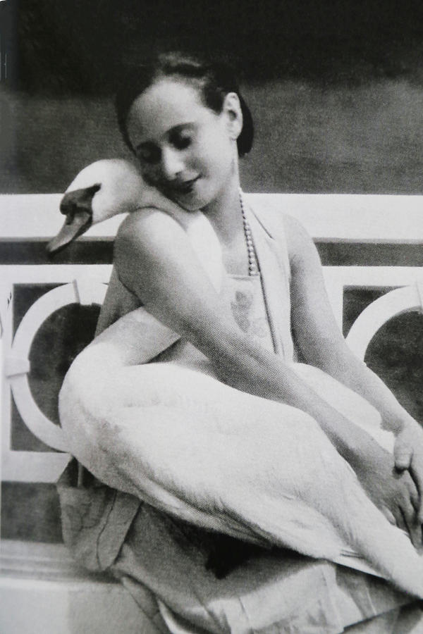 Anna Pavlovas Swan Photograph by Dennis Baswell