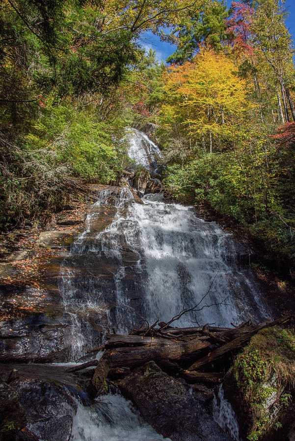 Anna Ruby Falls Pyrography by Hector Rivera - Fine Art America