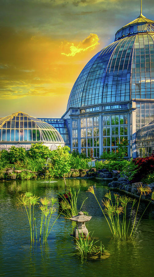 Anna Scripps Whitcomb Conservatory Mixed Media