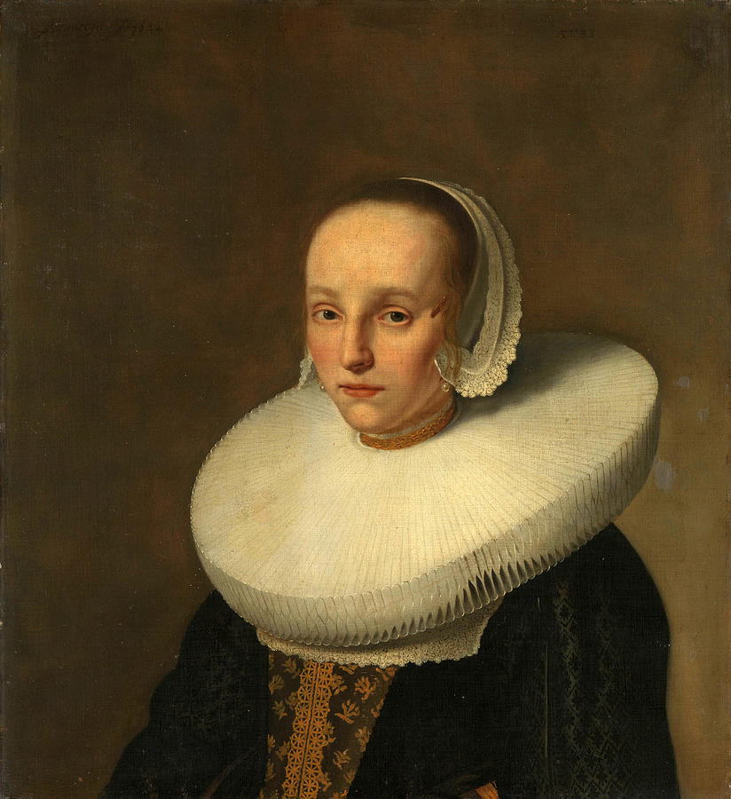 Anna van der Does, Wife of Jan de Hooghe Painting by Paulus Hennekyn