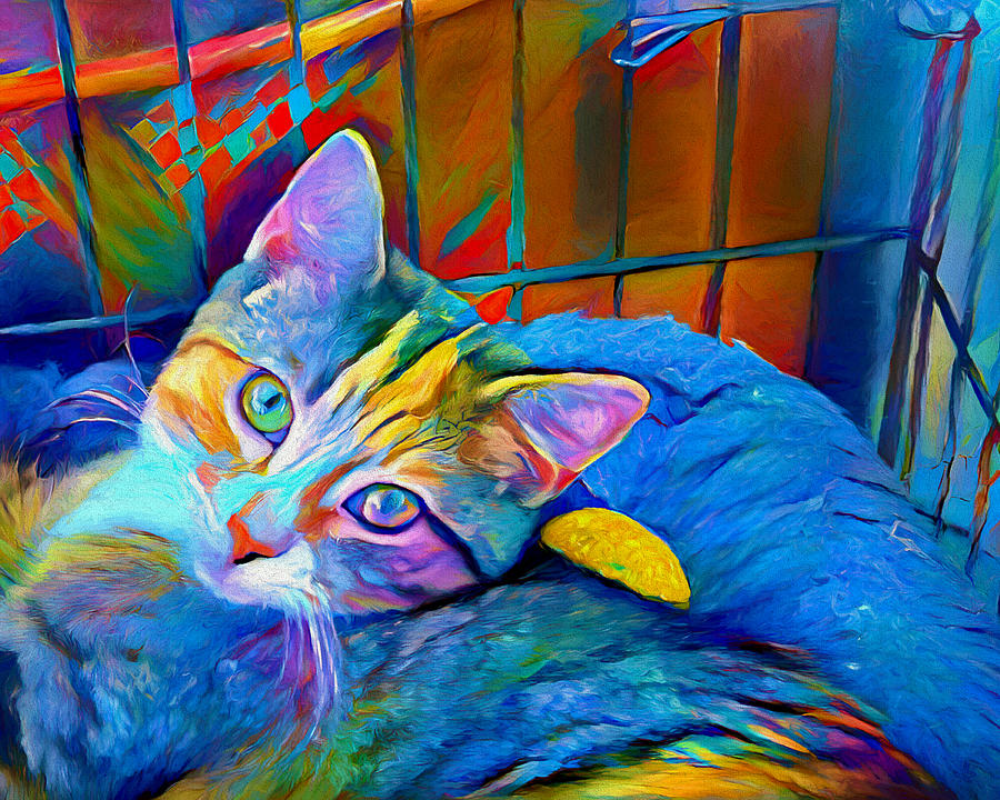 Annabelle Lee the shelter cat Digital Art by Carol Lowbeer - Fine Art ...