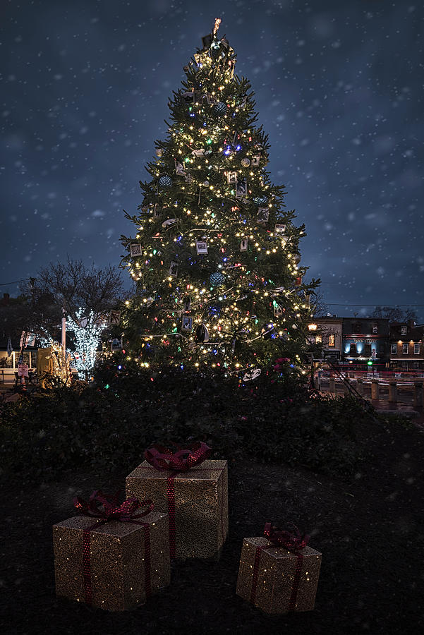Annapolis Christmas 2020 Photograph by Robert Fawcett