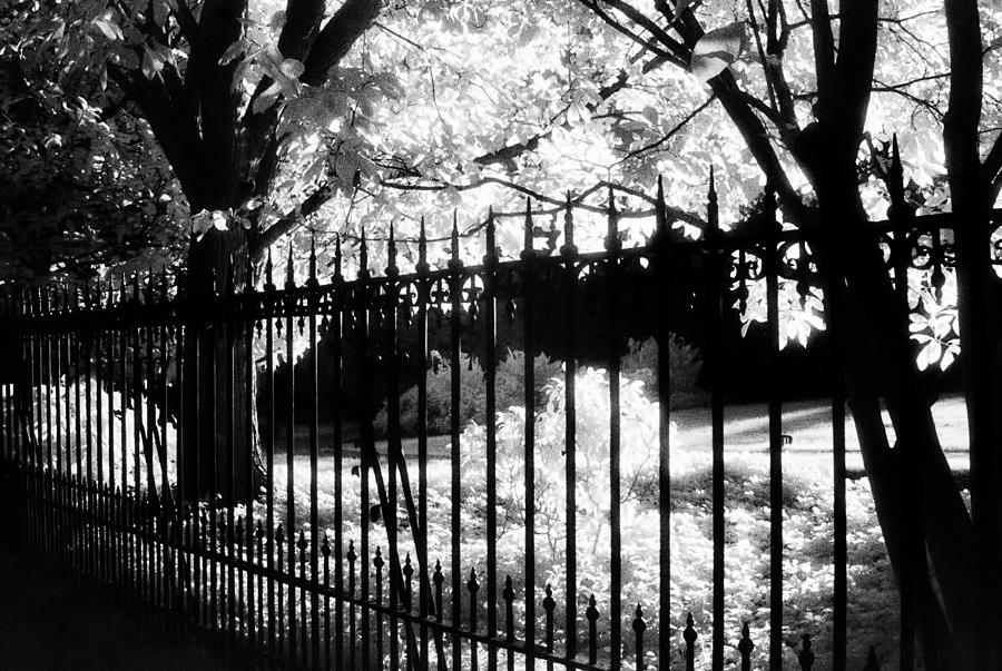  Annapolis Summer - An Infrared Impression Photograph by Steve Ember