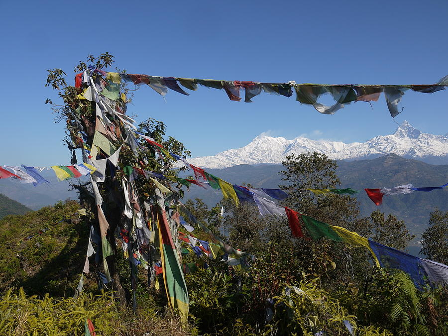Annapurna Photograph - Annapurna South and Fishtail Mountain Through Prayer Flags by Juliette Cunliffe