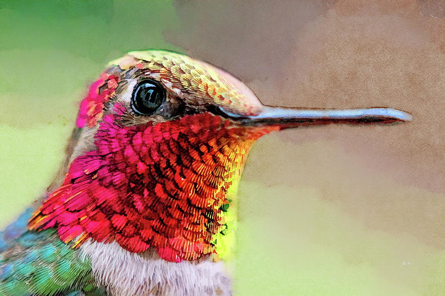 Annas Iridescent Hummingbird Painting by Russ Harris
