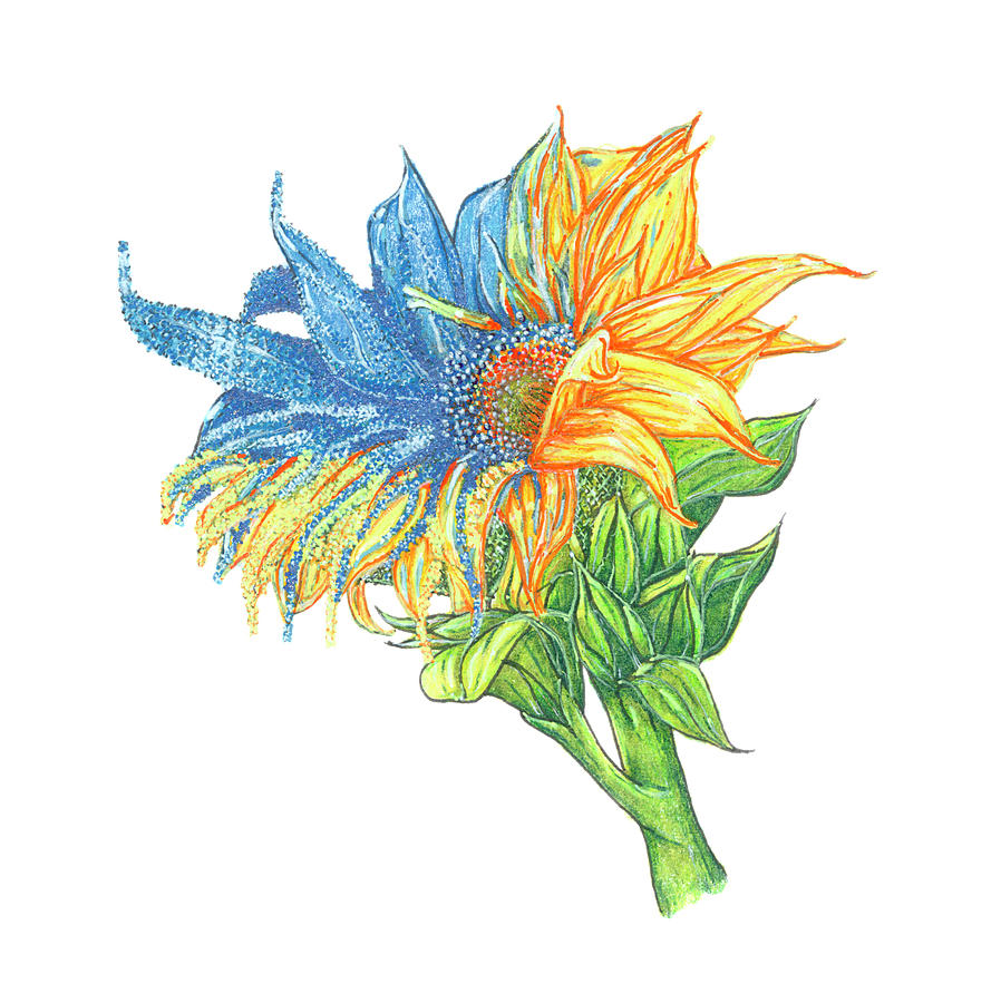 Annas Sunflower Mixed Media by Brenna Woods