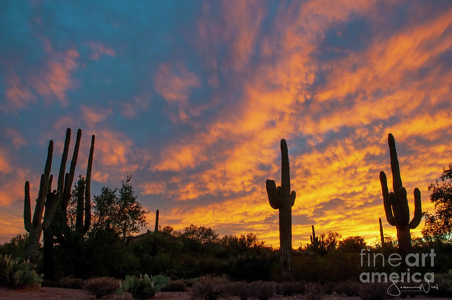 Another Gold Canyon Sunset Photograph by Joanne West