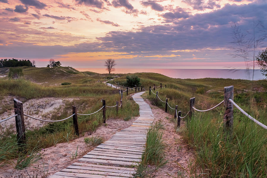 Kohler-Andrae State Park #1 Photograph by Tim Schaab - Fine Art America