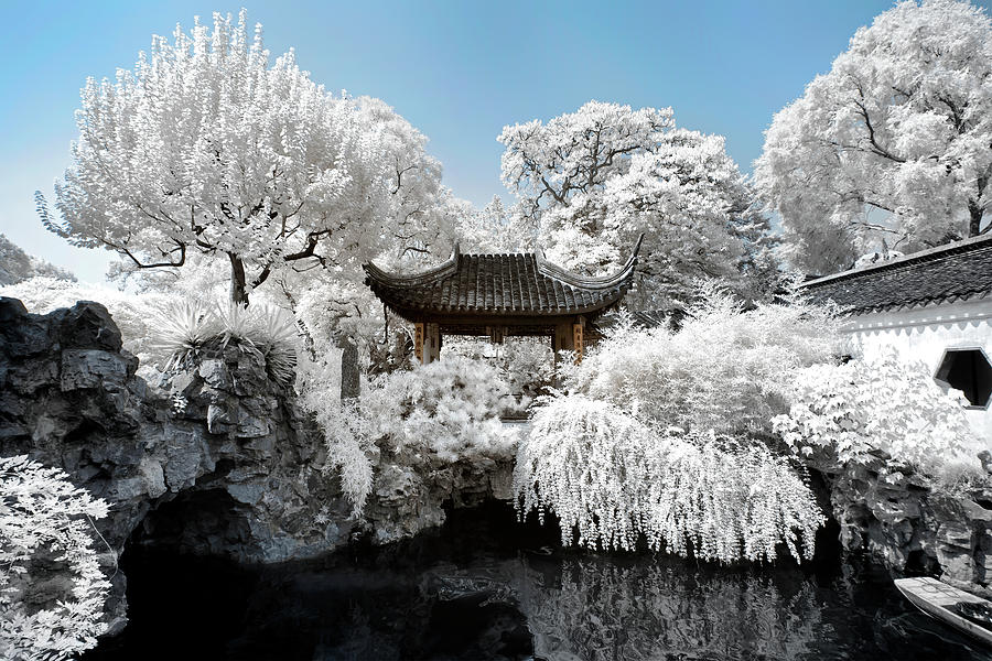 Another Look Asia China - Between the frozen trees Photograph by Philippe HUGONNARD